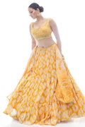 deisgner lehenga 