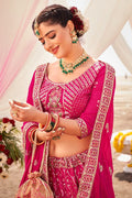 embroideried lehenga choli