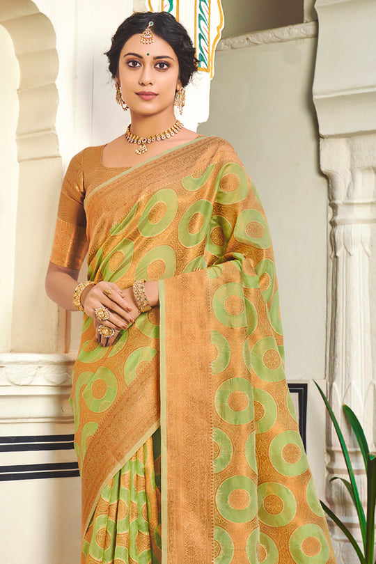 Lime Green And Brown Organza Saree