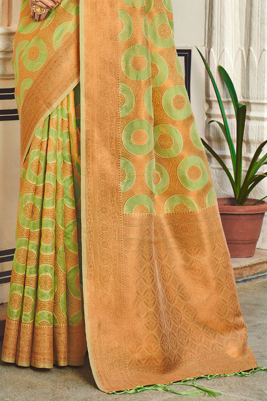 Lime Green And Brown Organza Saree