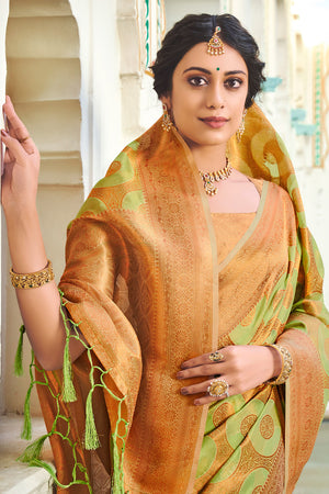 Lime Green And Brown Organza Saree