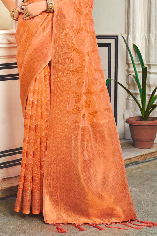 Cantaloupe Orange Organza Saree