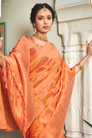 Cantaloupe Orange Organza Saree