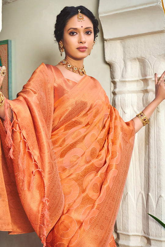 Cantaloupe Orange Organza Saree
