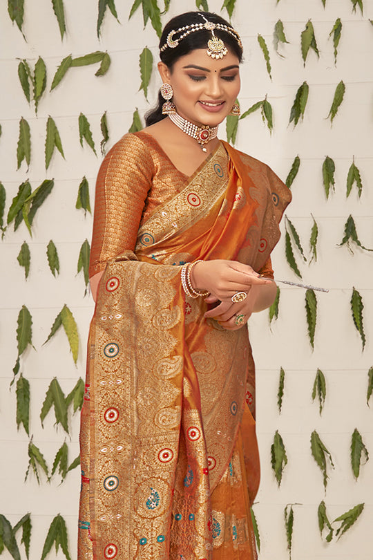 Bronze Brown Organza Saree
