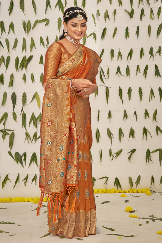 Bronze Brown Organza Saree