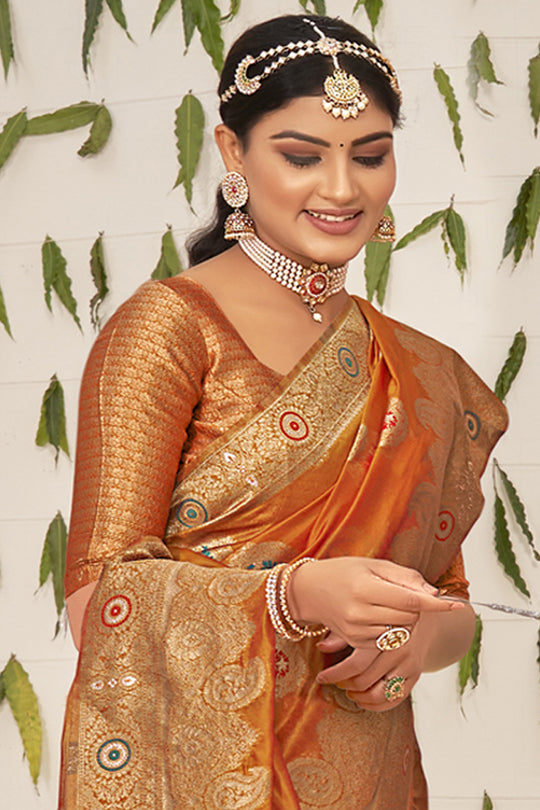 Bronze Brown Organza Saree