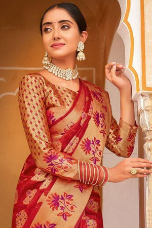 Apple Red Organza Saree