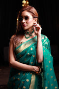 organza saree