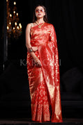 organza saree with embroidery