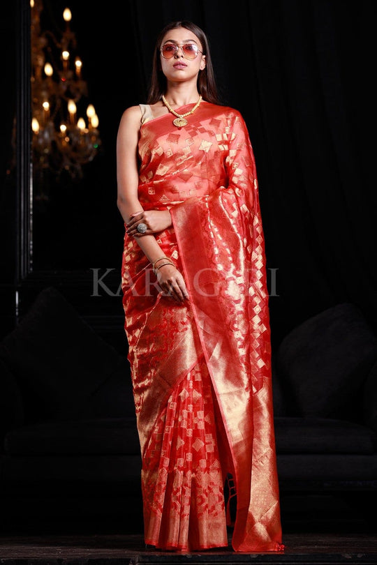 organza saree with embroidery