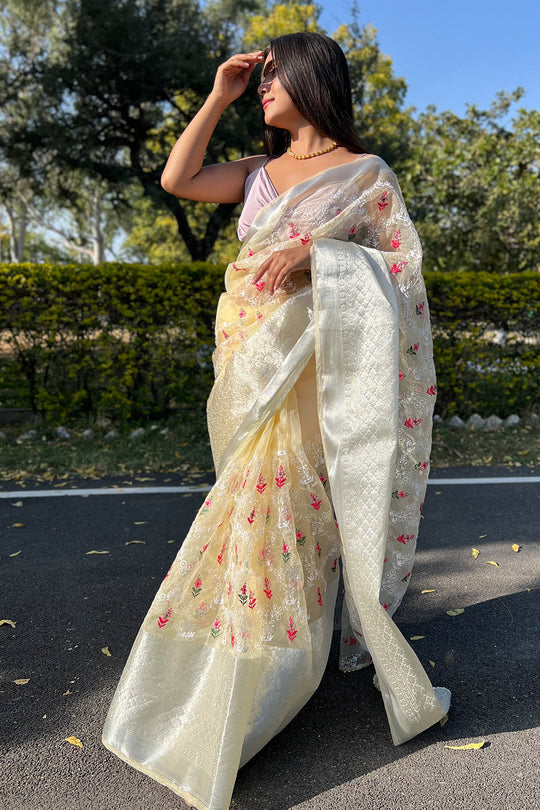 organza saree