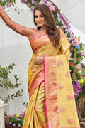 organza saree
