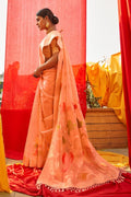 organza saree
