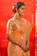 organza silk saree