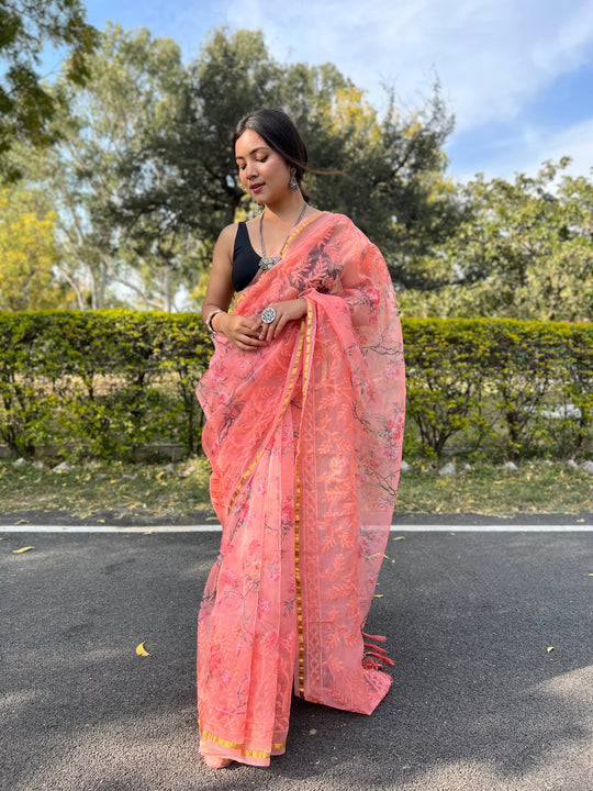 organza saree