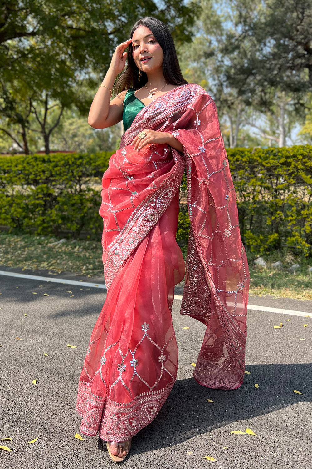 fancy saree