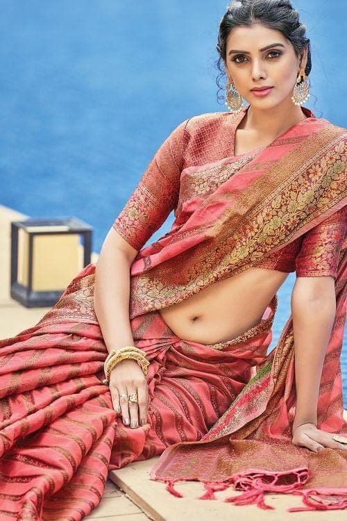 organza saree design