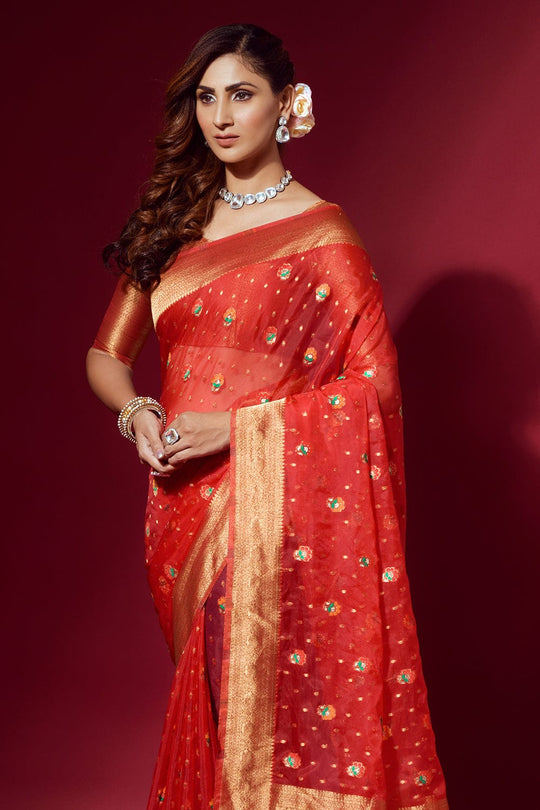 organza saree
