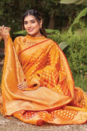 organza saree