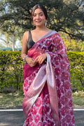 organza saree