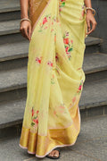 organza saree