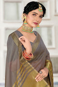 organza saree
