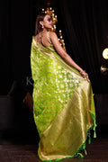 organza saree with embroidery