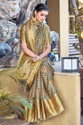 organza saree