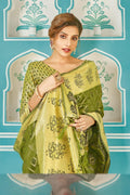 organza saree
