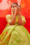 organza saree