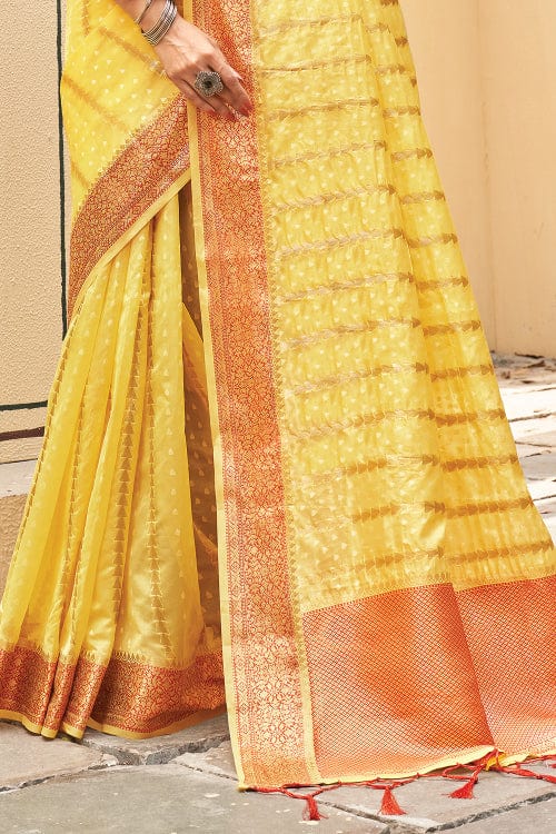 organza saree design