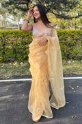 organza saree