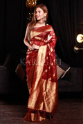 organza saree with embroidery