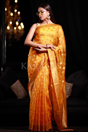 organza saree with embroidery