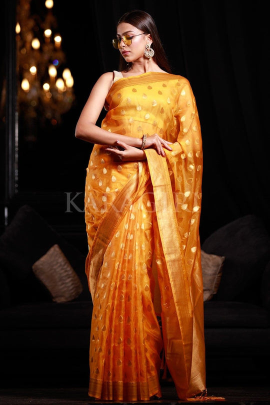 organza saree with embroidery