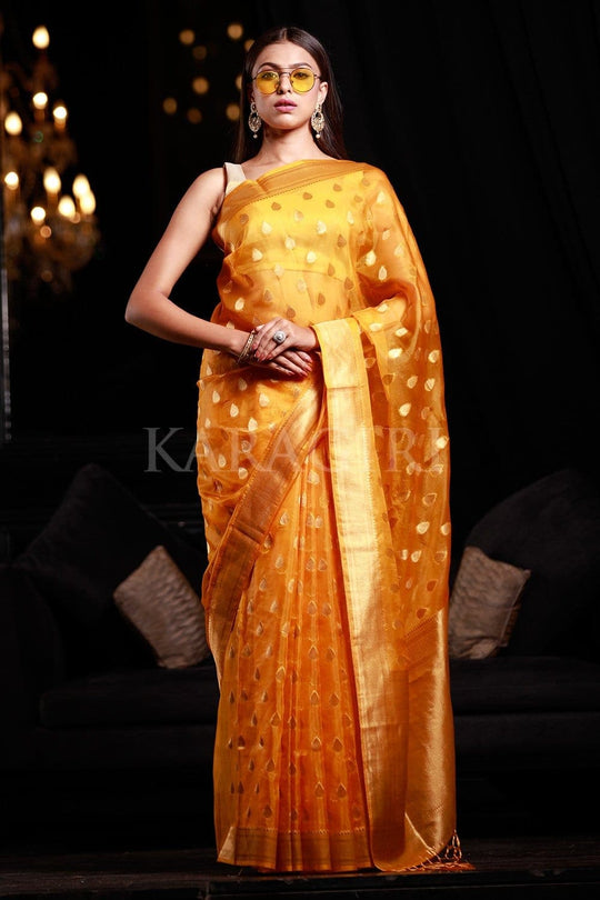 organza saree