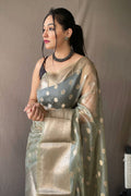 organza silk saree