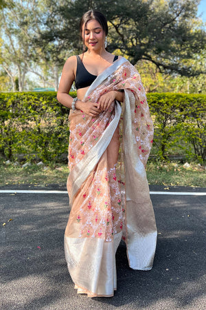 brown organza saree