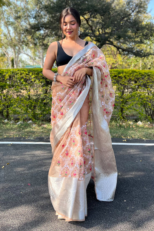 brown organza saree