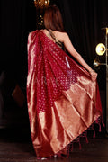 organza saree with embroidery