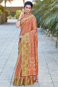 organza saree