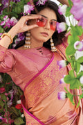 organza saree