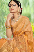 organza saree