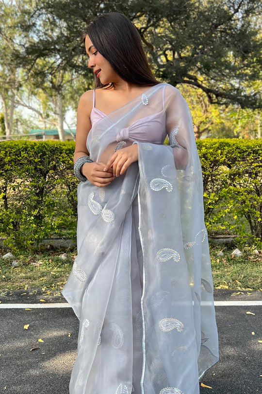 organza saree
