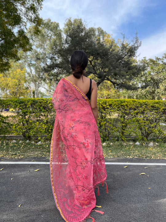 pink saree