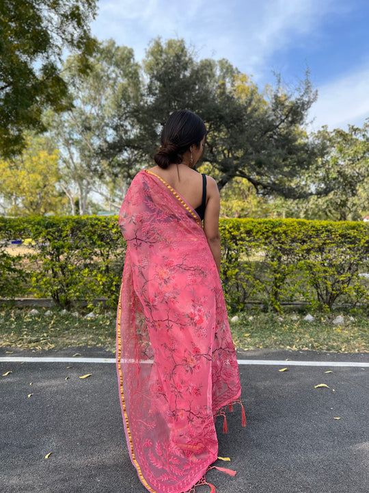 organza sarees