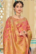 organza saree