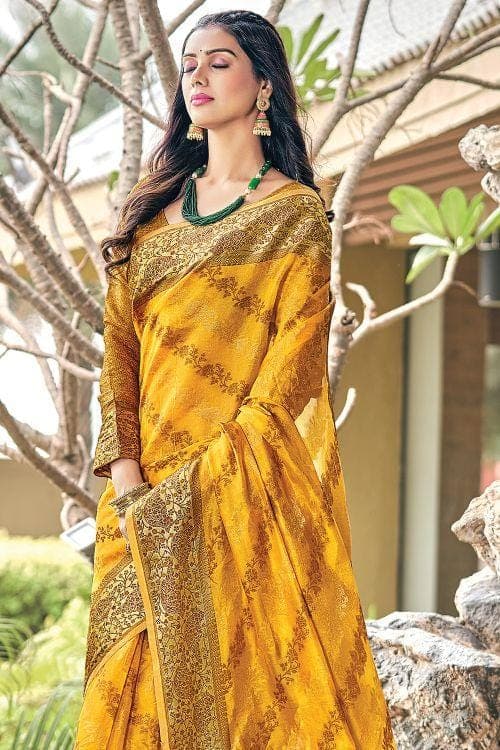 organza saree design