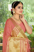 organza saree